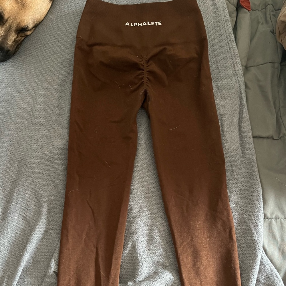 Alphalete Amplify Leggings